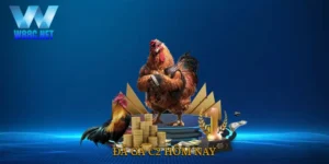 Đá gà C2 hôm nay